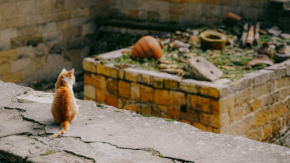 Photograph by Наталия Дмитриева