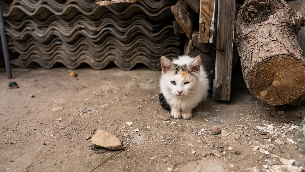 Photograph by Наталия Дмитриева