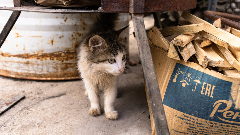 Photograph by Наталия Дмитриева