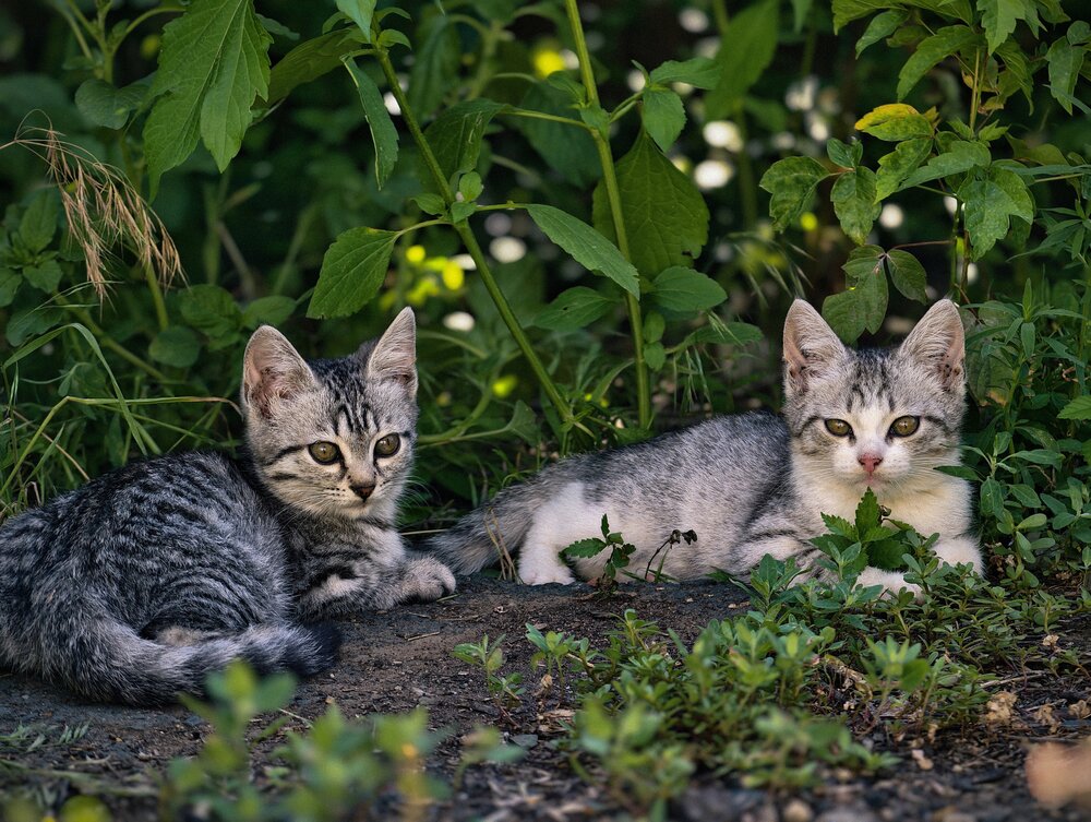 Photograph by Виктор Анциферов