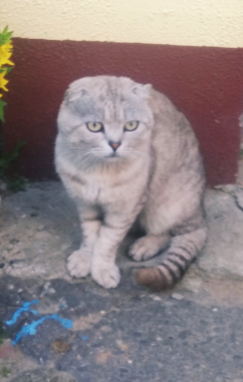 Photo #14063155