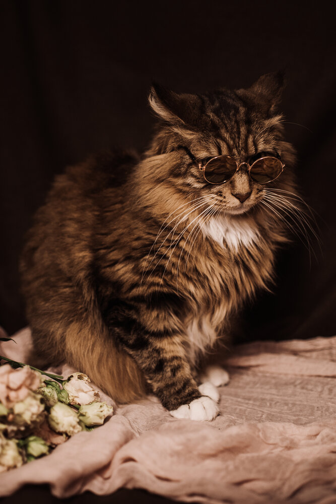 Photograph by Галина Ноздрина