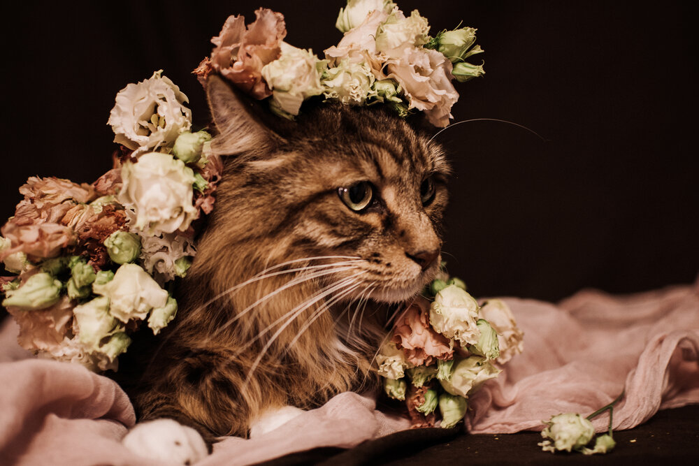 Photograph by Галина Ноздрина