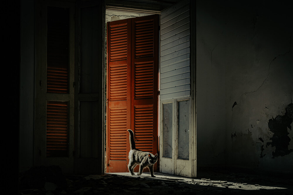 Photograph by Людмила Аксенова