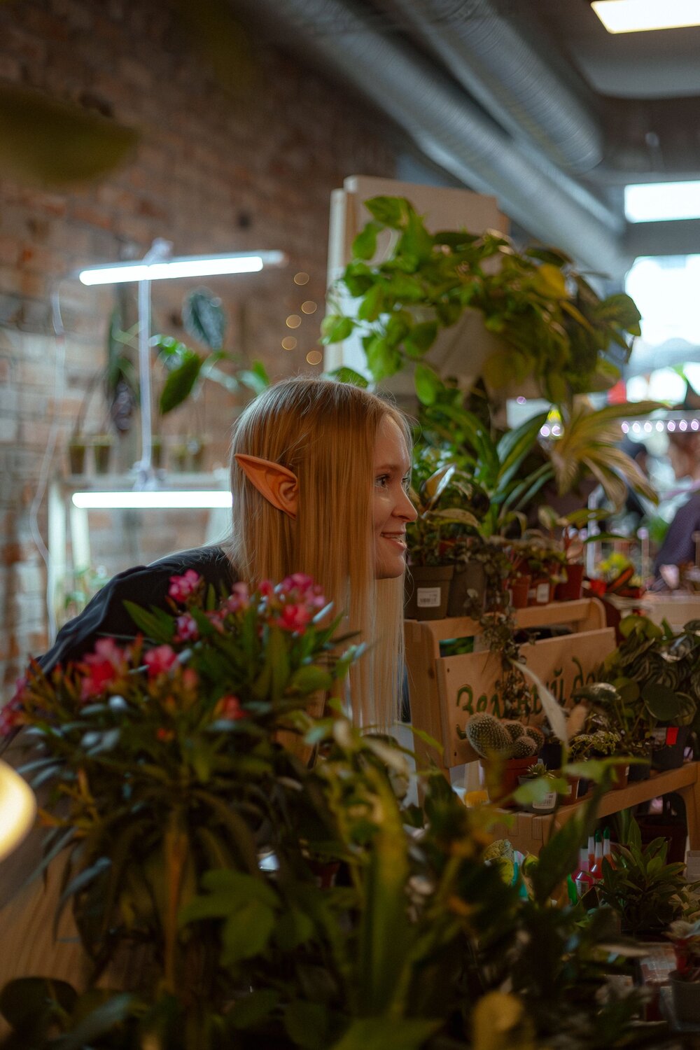 Photo #14063535