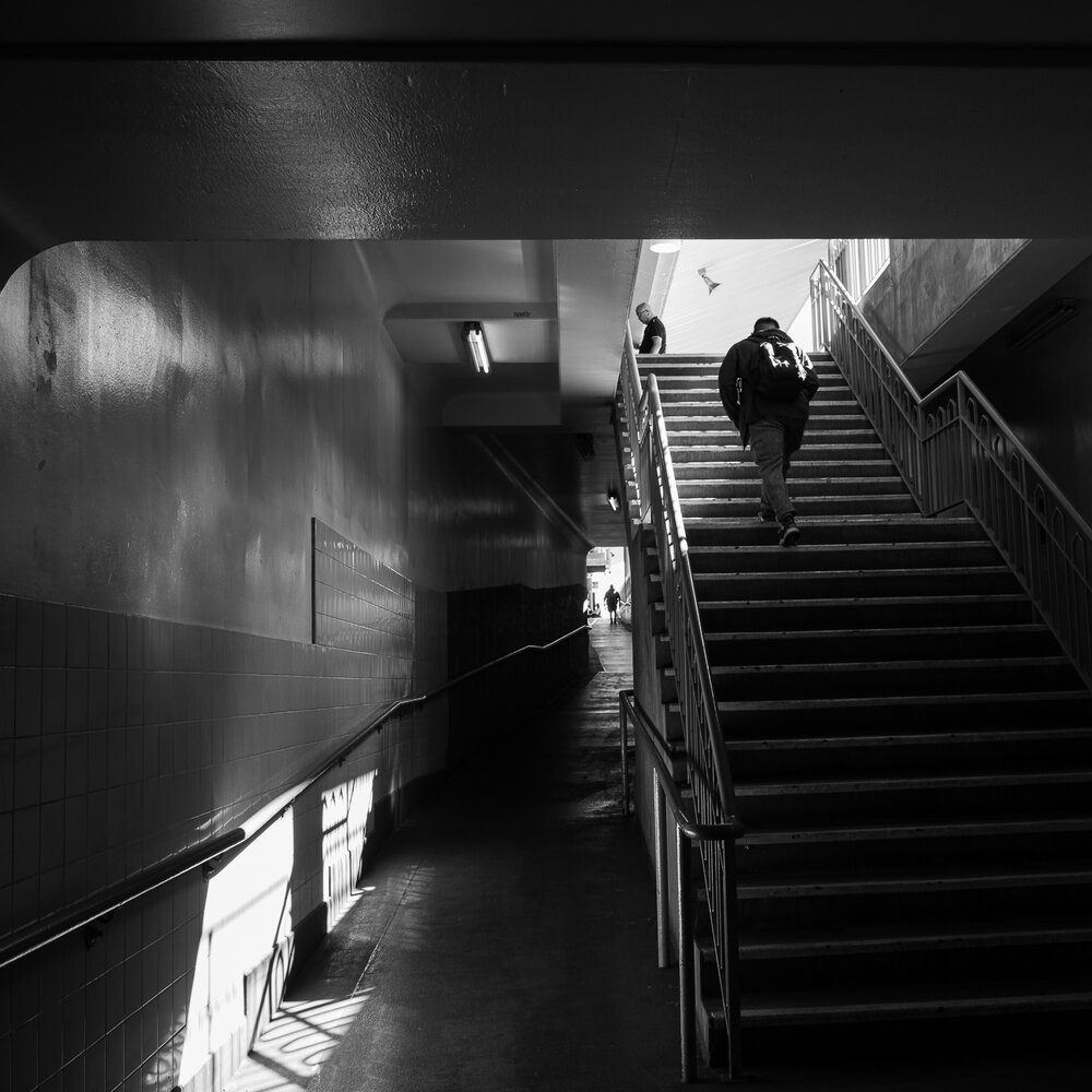 My Gentle Path