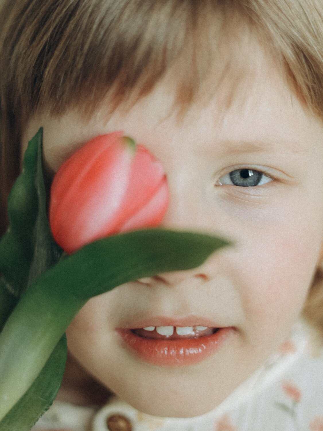 Photo #14063749
