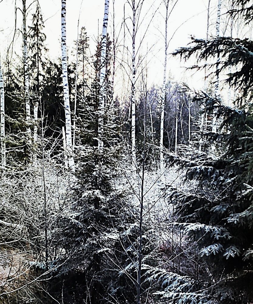 Photograph by Анна Андреевна