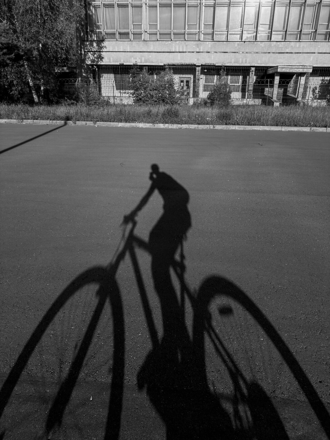 Photo #14063893