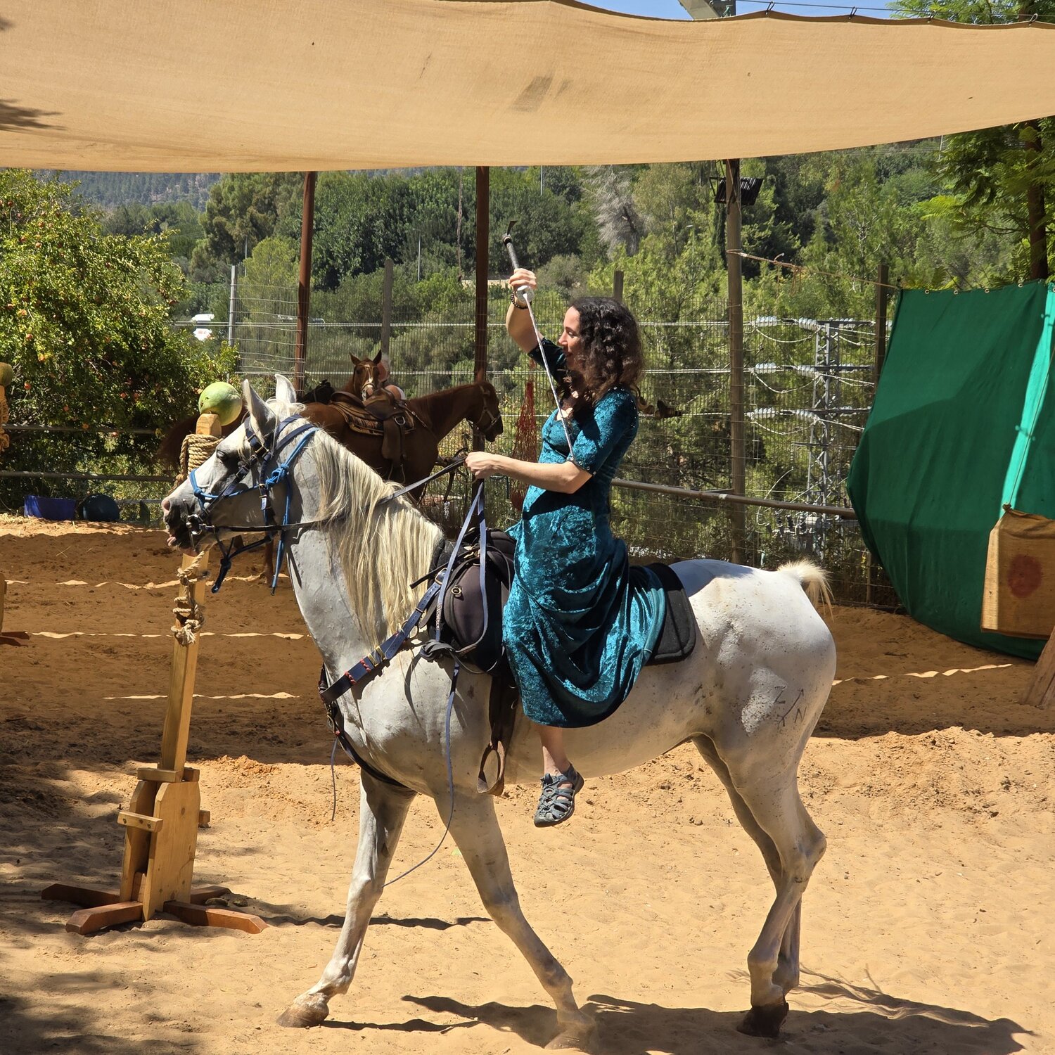 Photo #14063927