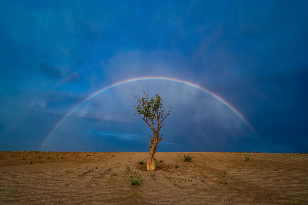 Photograph by Babar Swaleheen