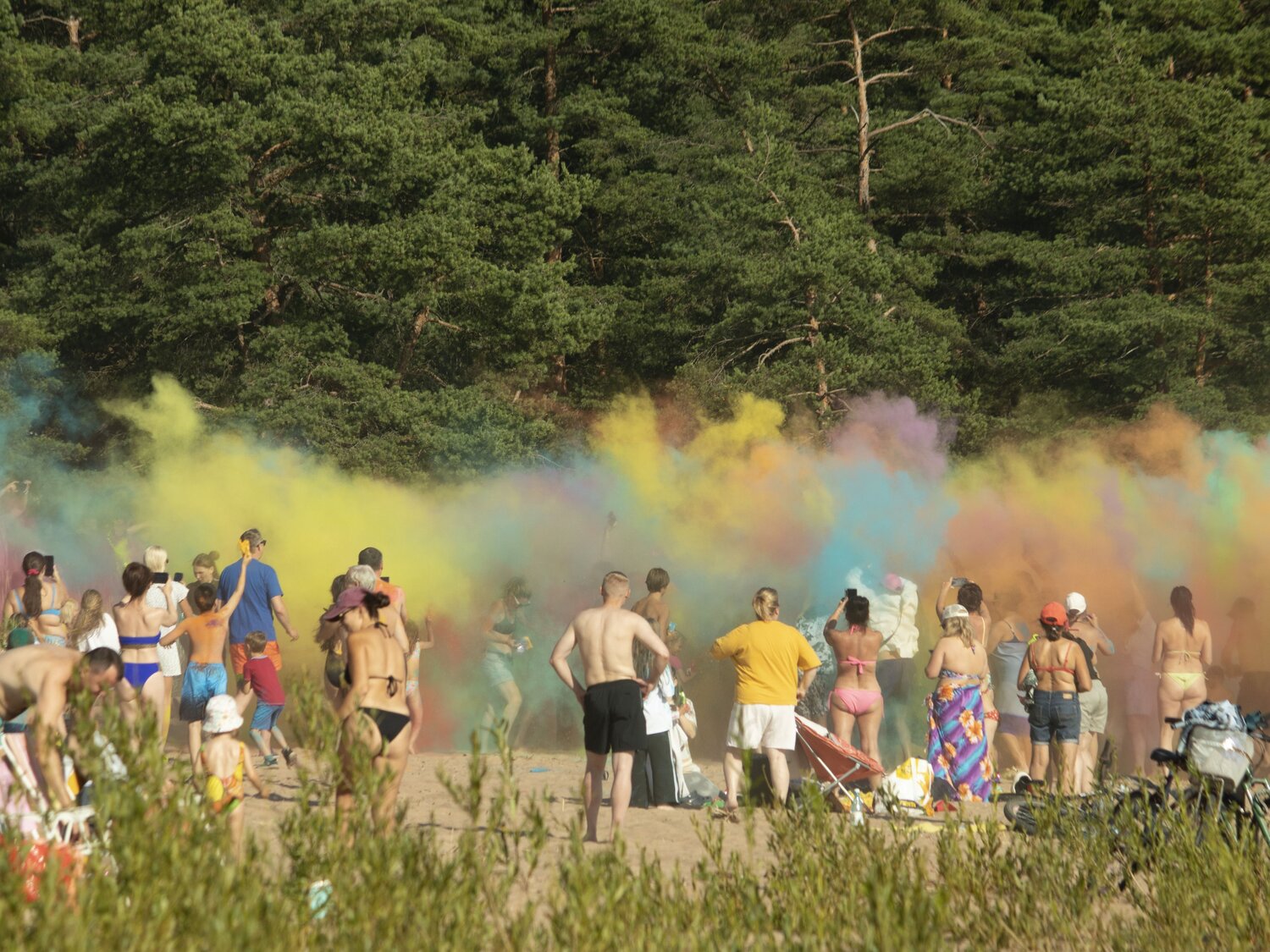 Photo #14064053