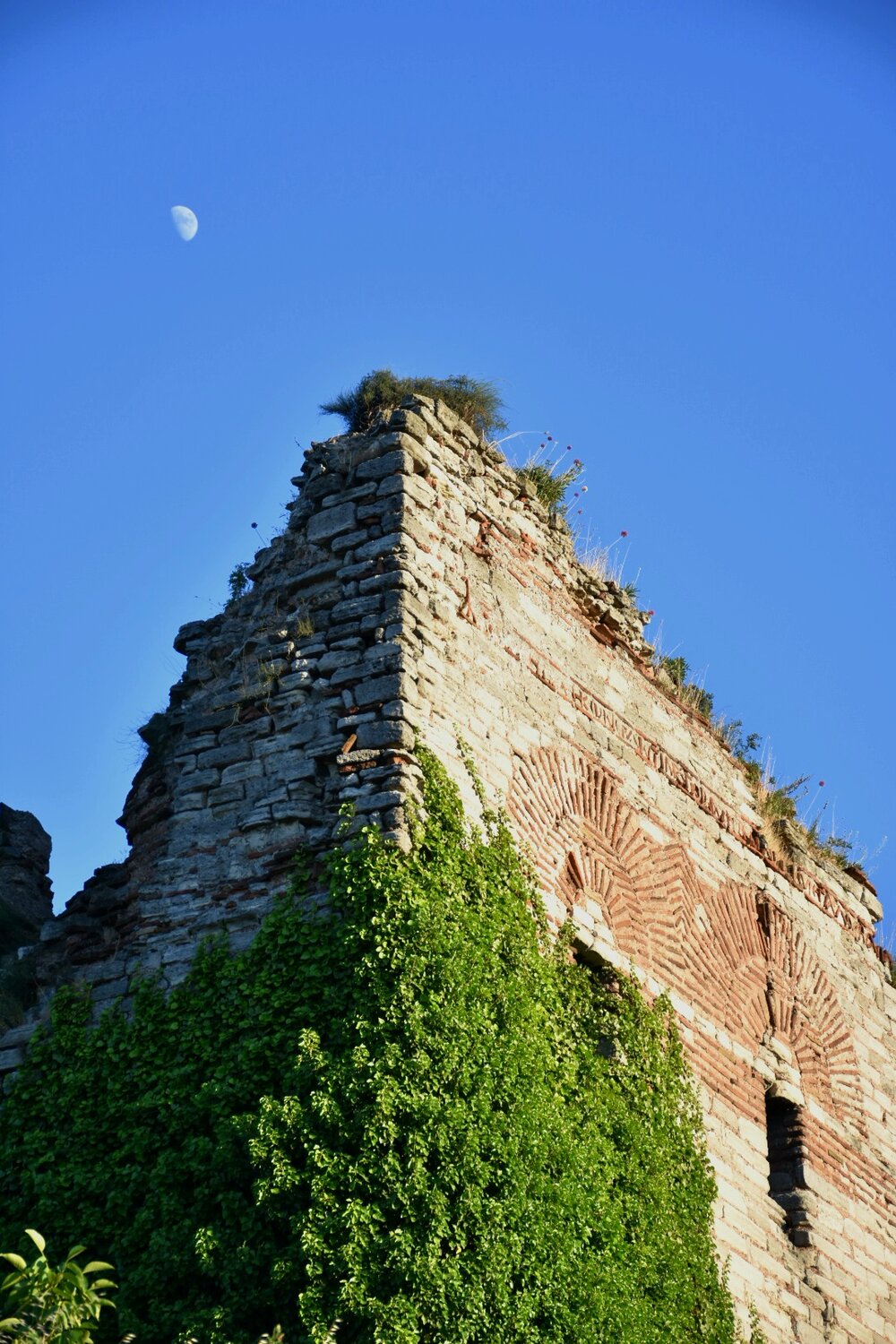 Photo #14064224