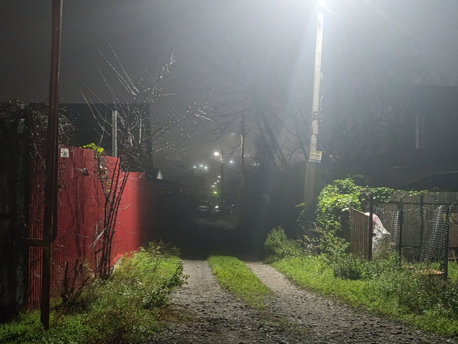 Photo #14064239