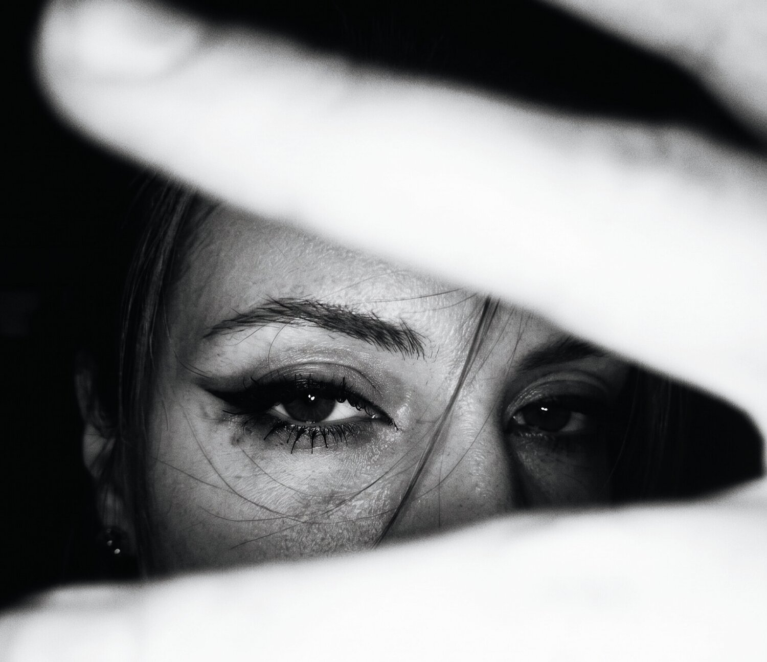 Photo #14064443
