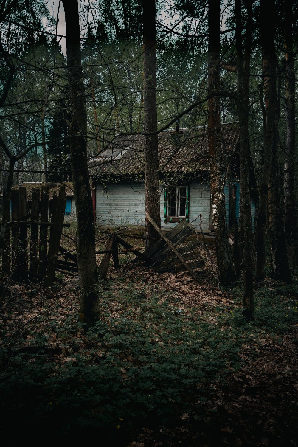 Photo #14064474