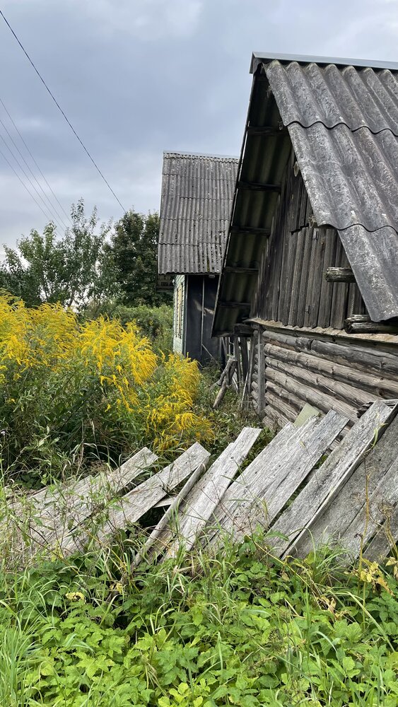 Фотография автора Анна Беднякова