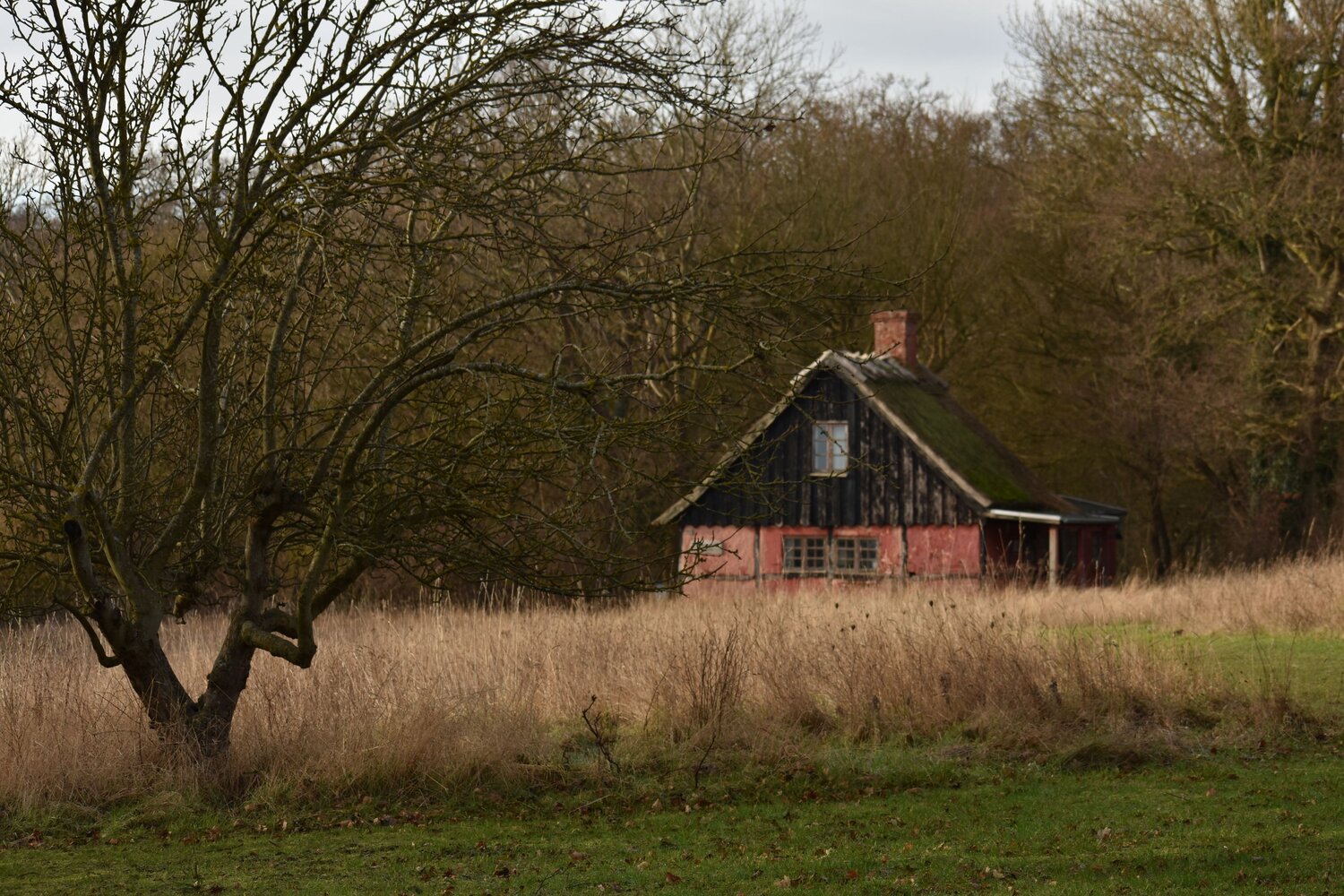 Photo #14064717