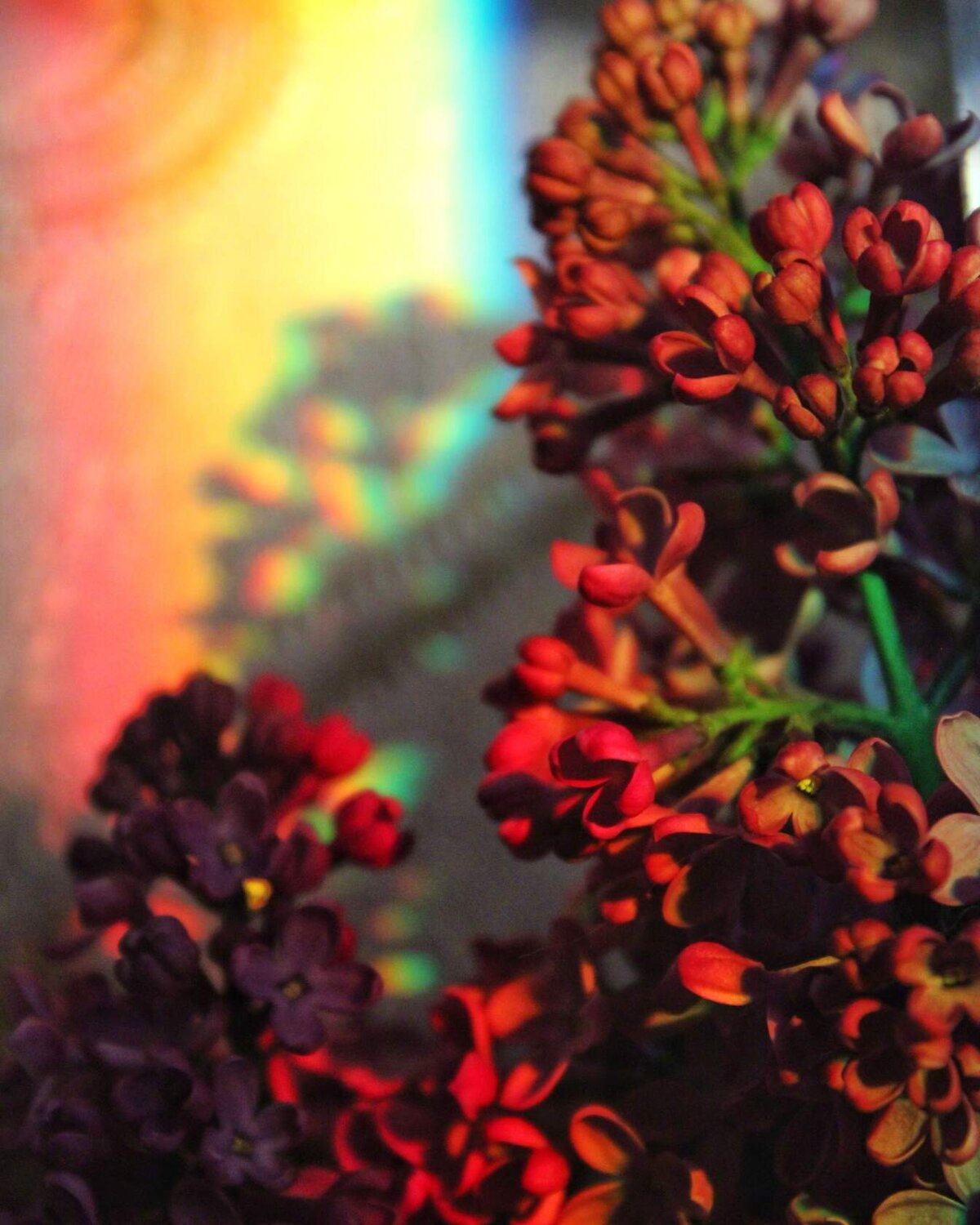 Photo #14064825