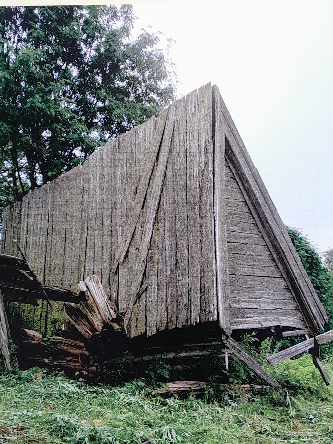 Photo #14064831