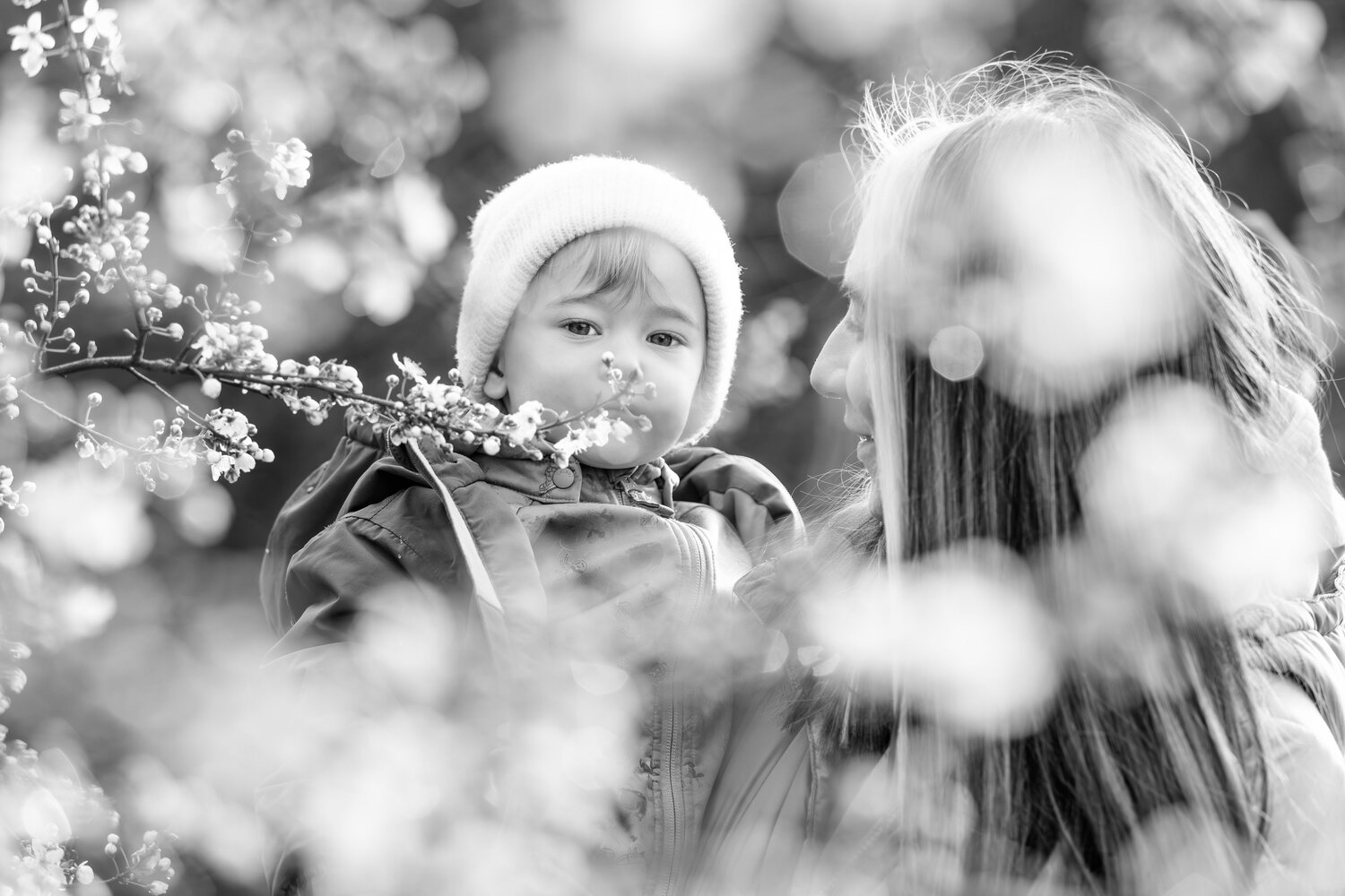 Photo #14064855
