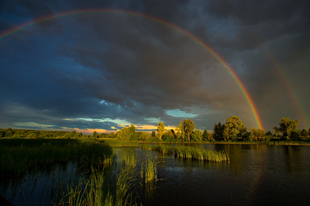 Photograph by Шишков Дмитрий