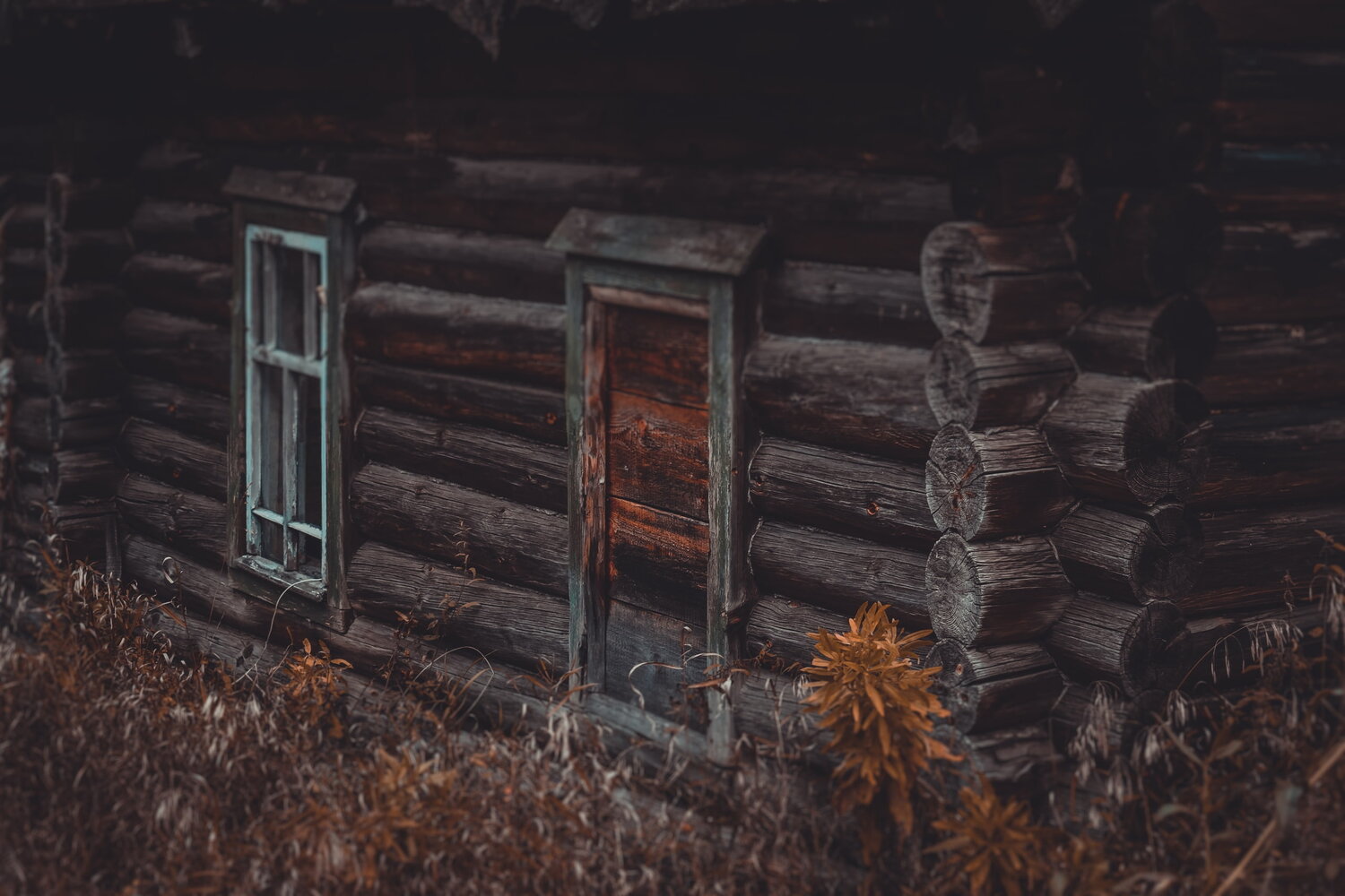 Фотография #14065234