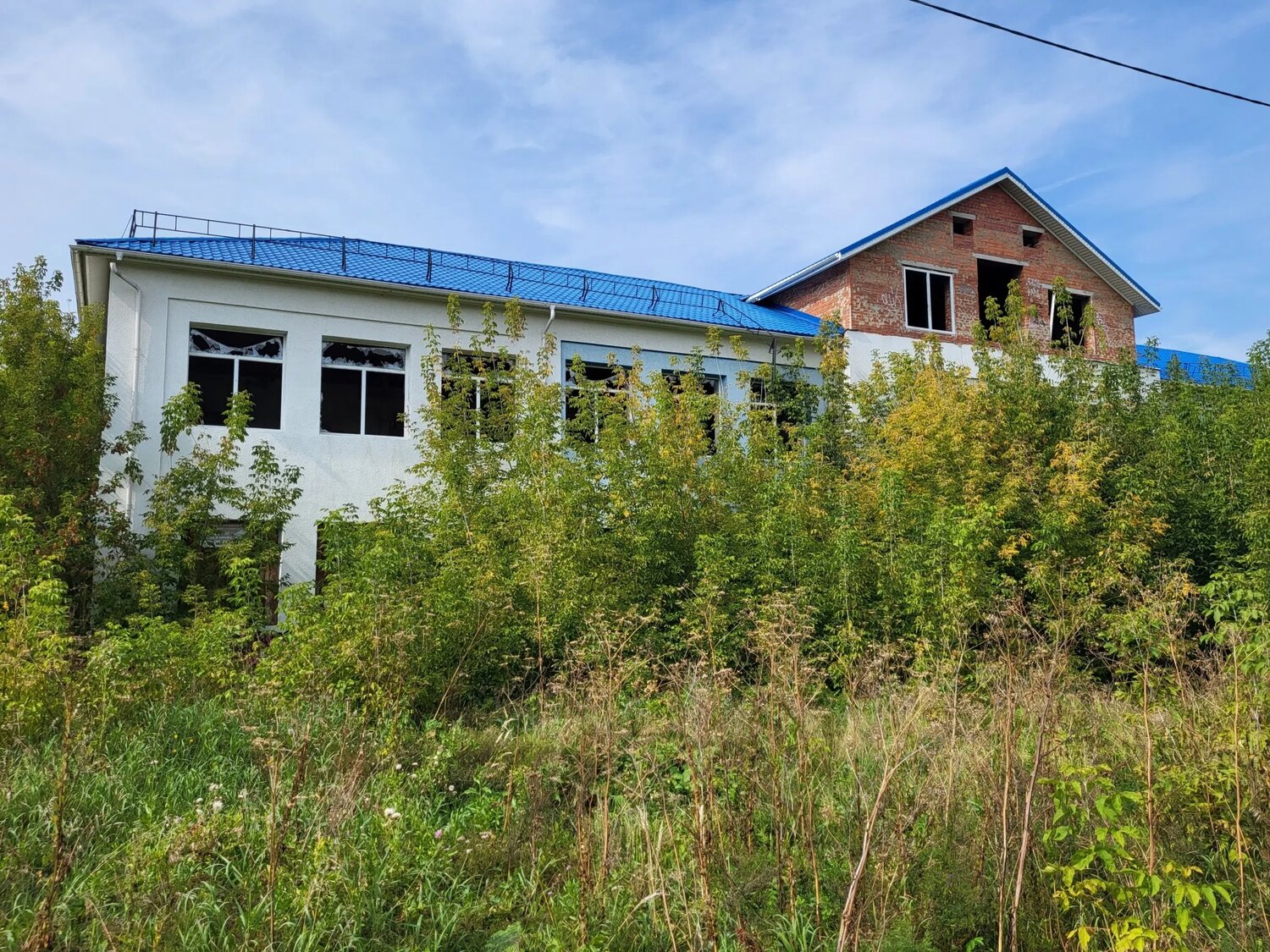Photo #14065306