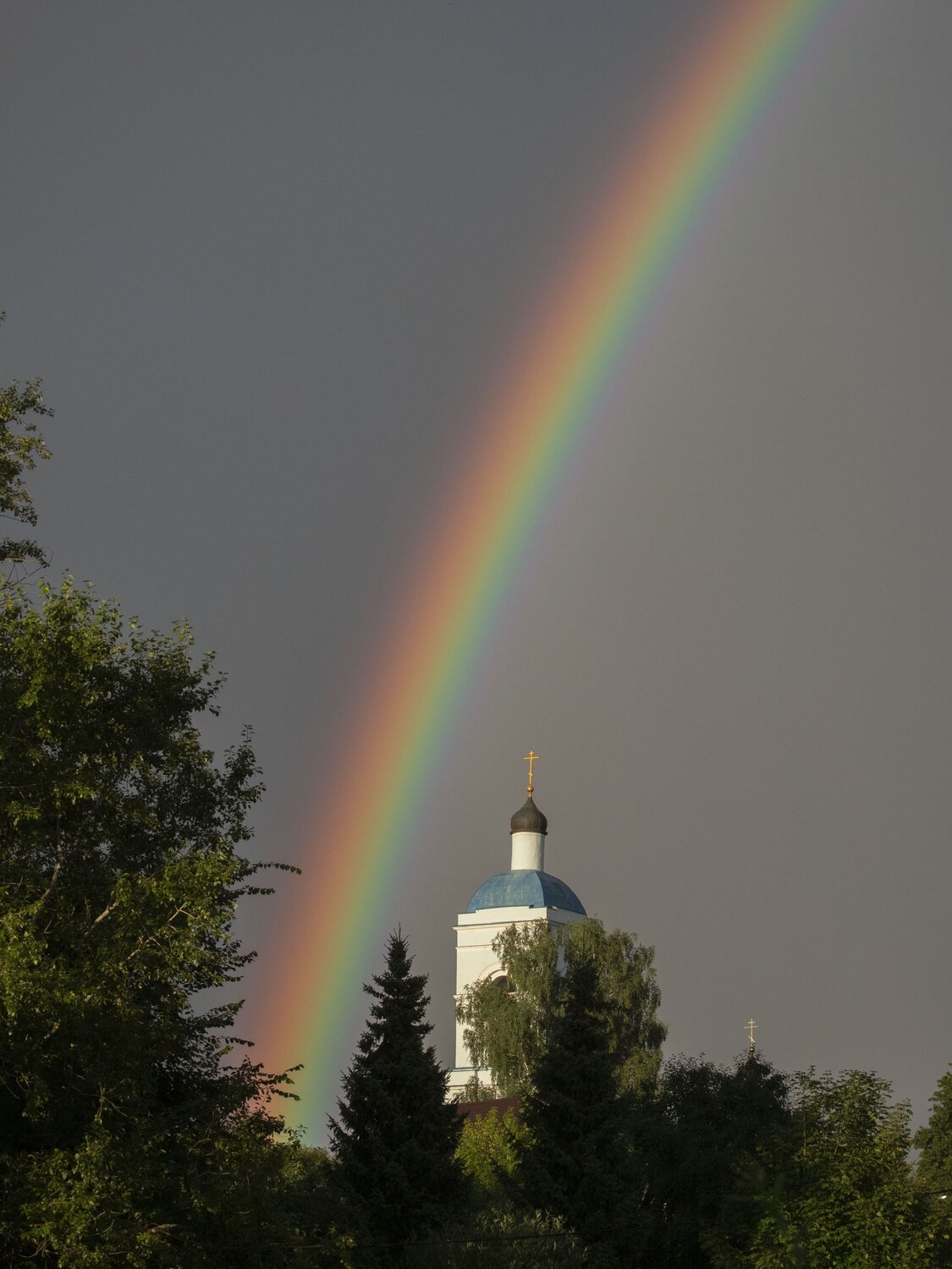 Photo #14065559