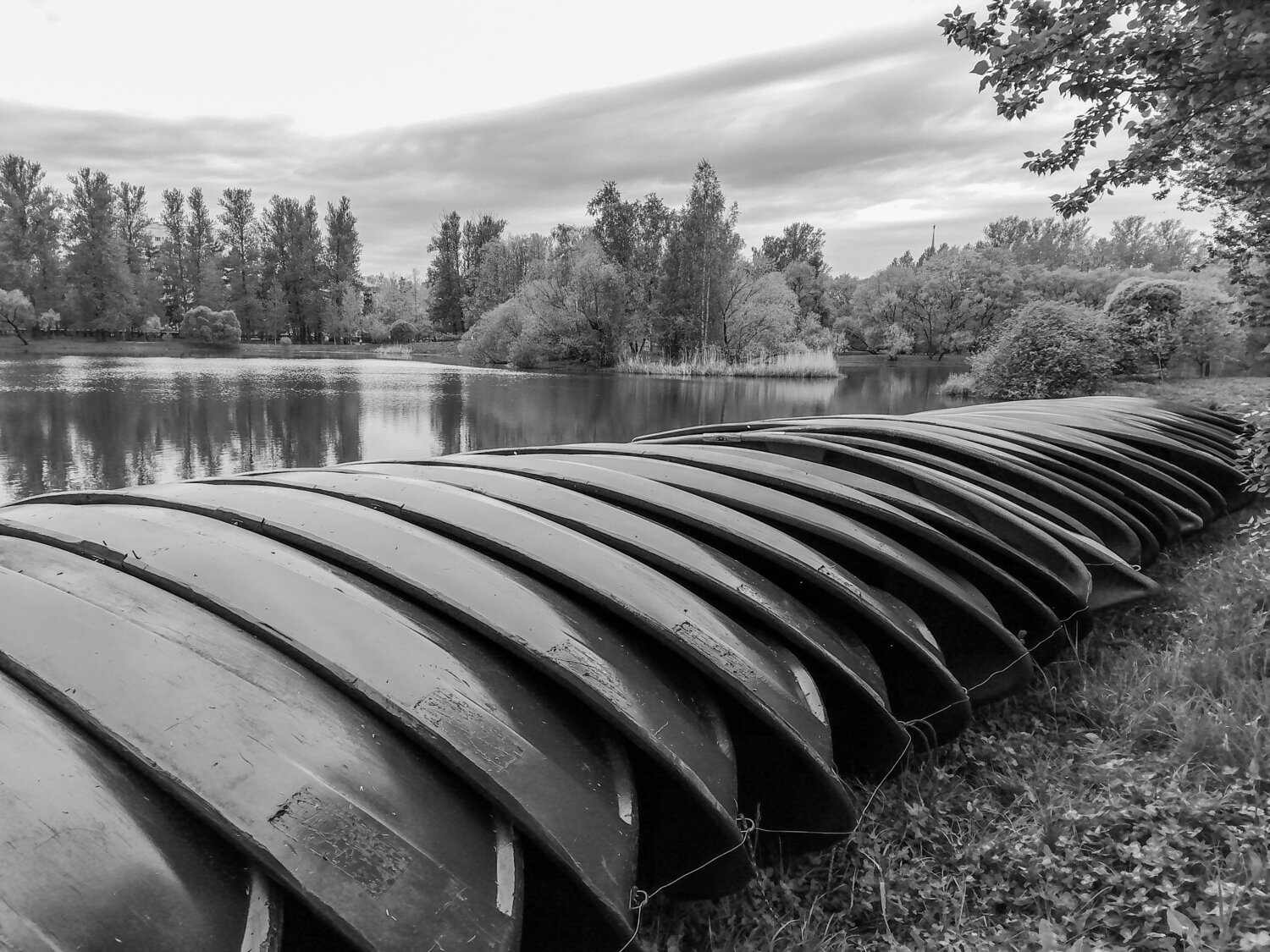 Photo #14065618
