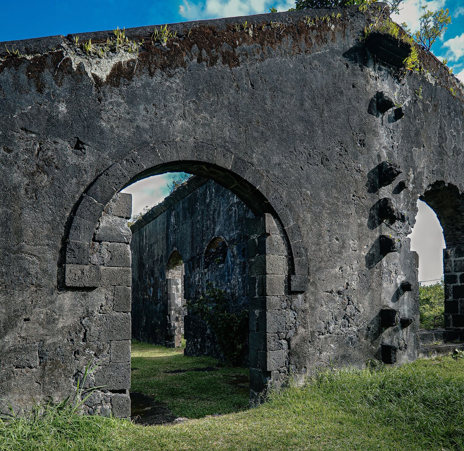 Photo #14065766