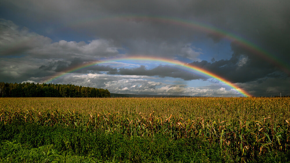 Photograph by Абашкин Сергей