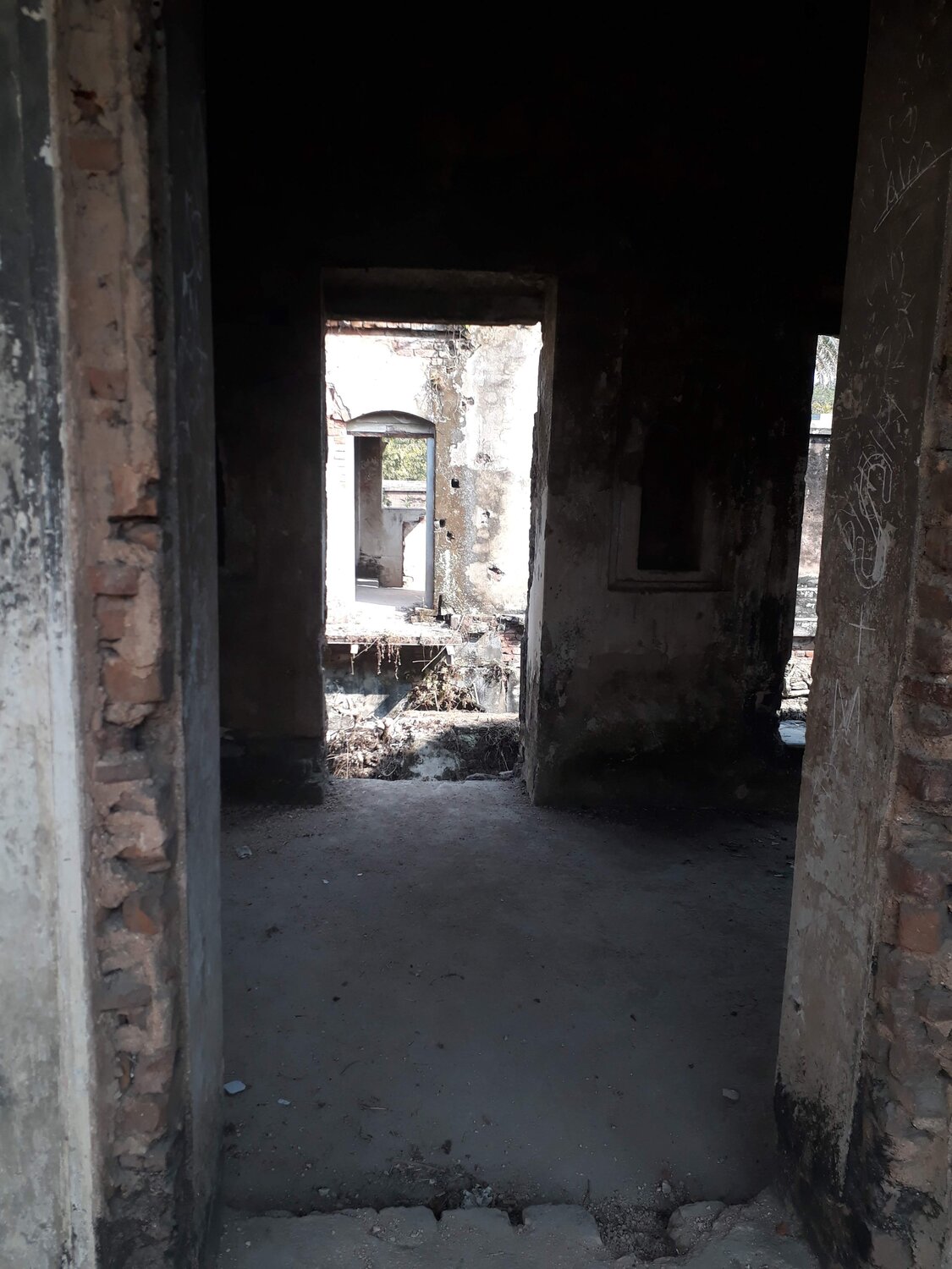 Photo #14066348