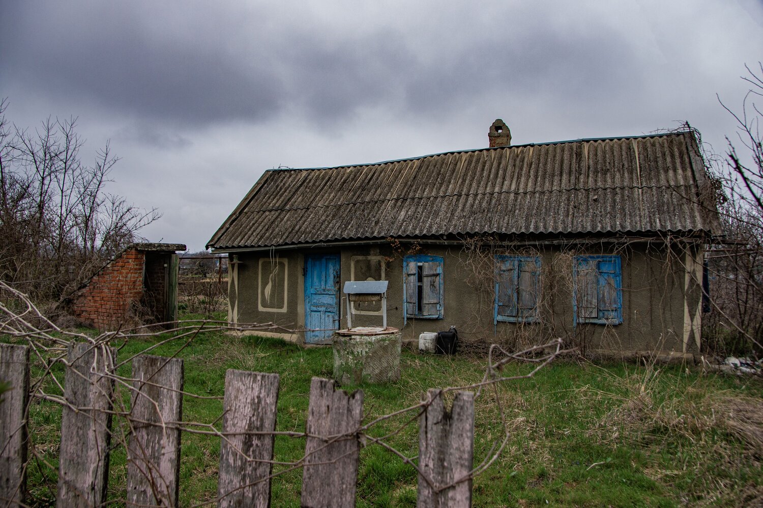 Photo #14066464