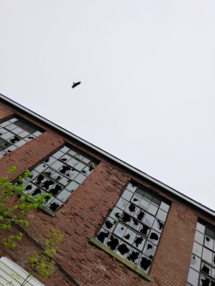 Echoes Above the Mill