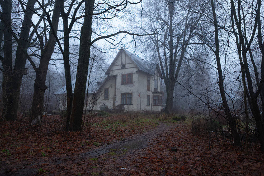 Photograph by Лариса Андреева