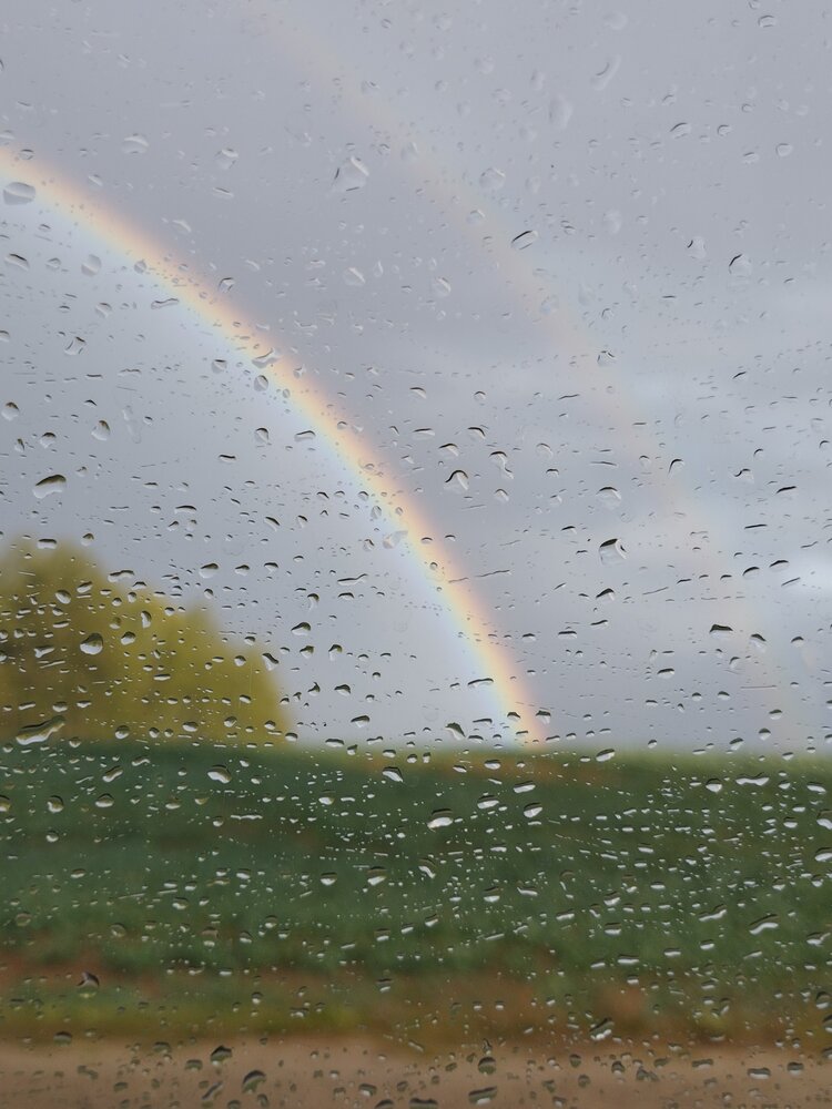 Photograph by Ия Дирко
