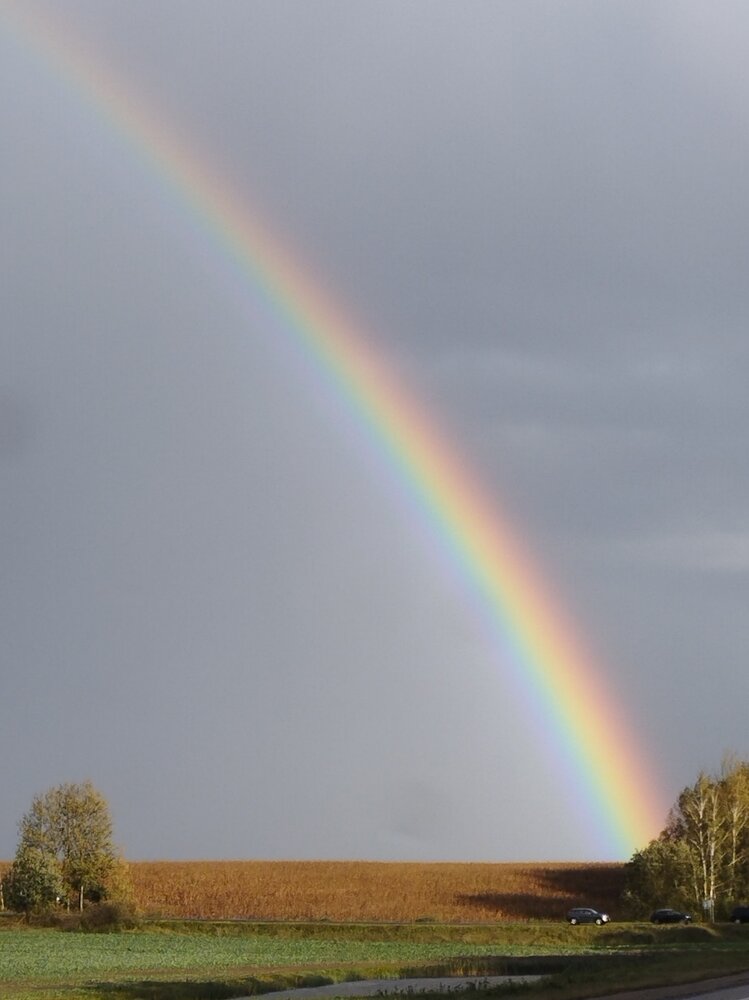 Photograph by Ия Дирко