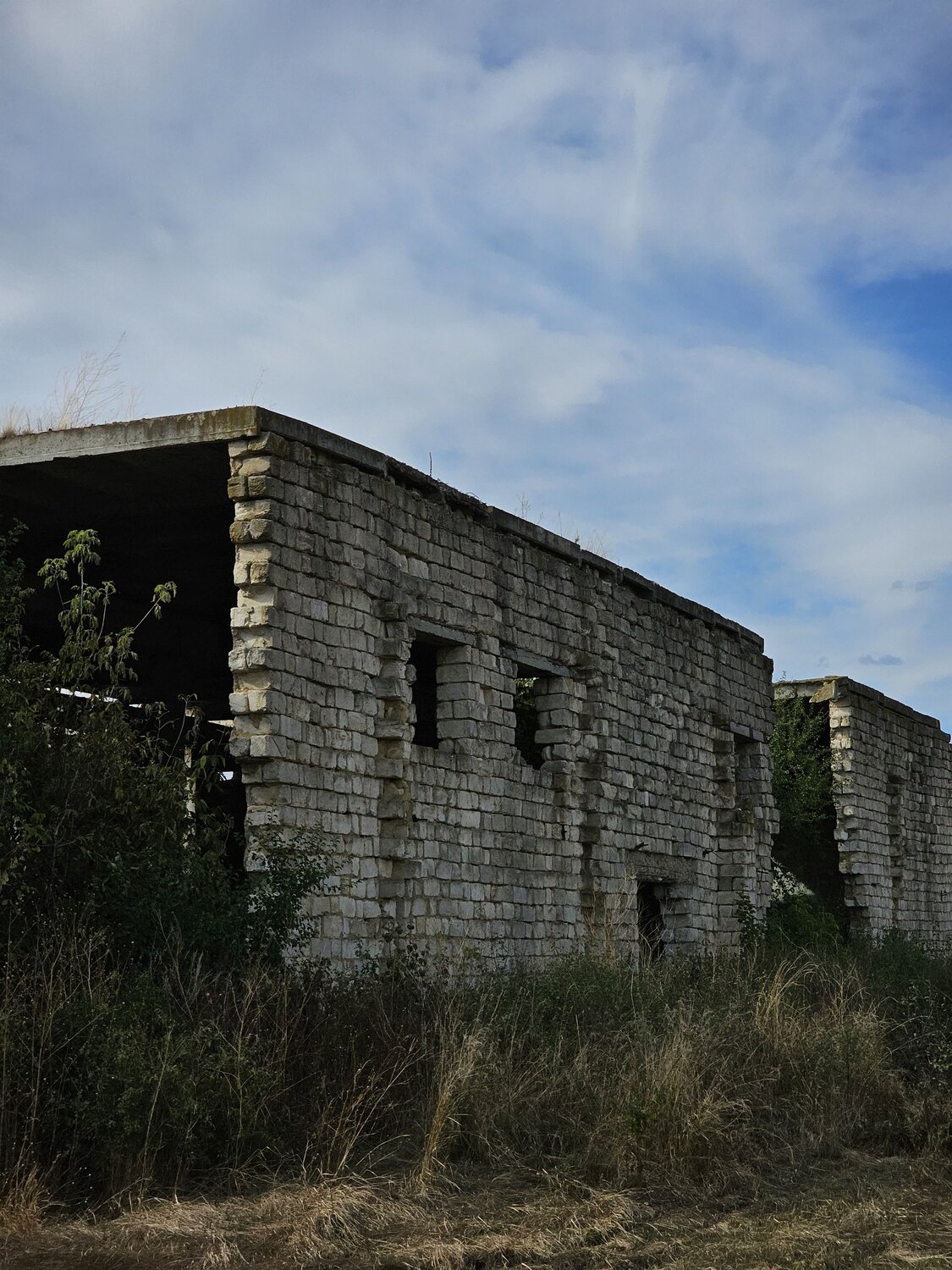 Photo #14066667