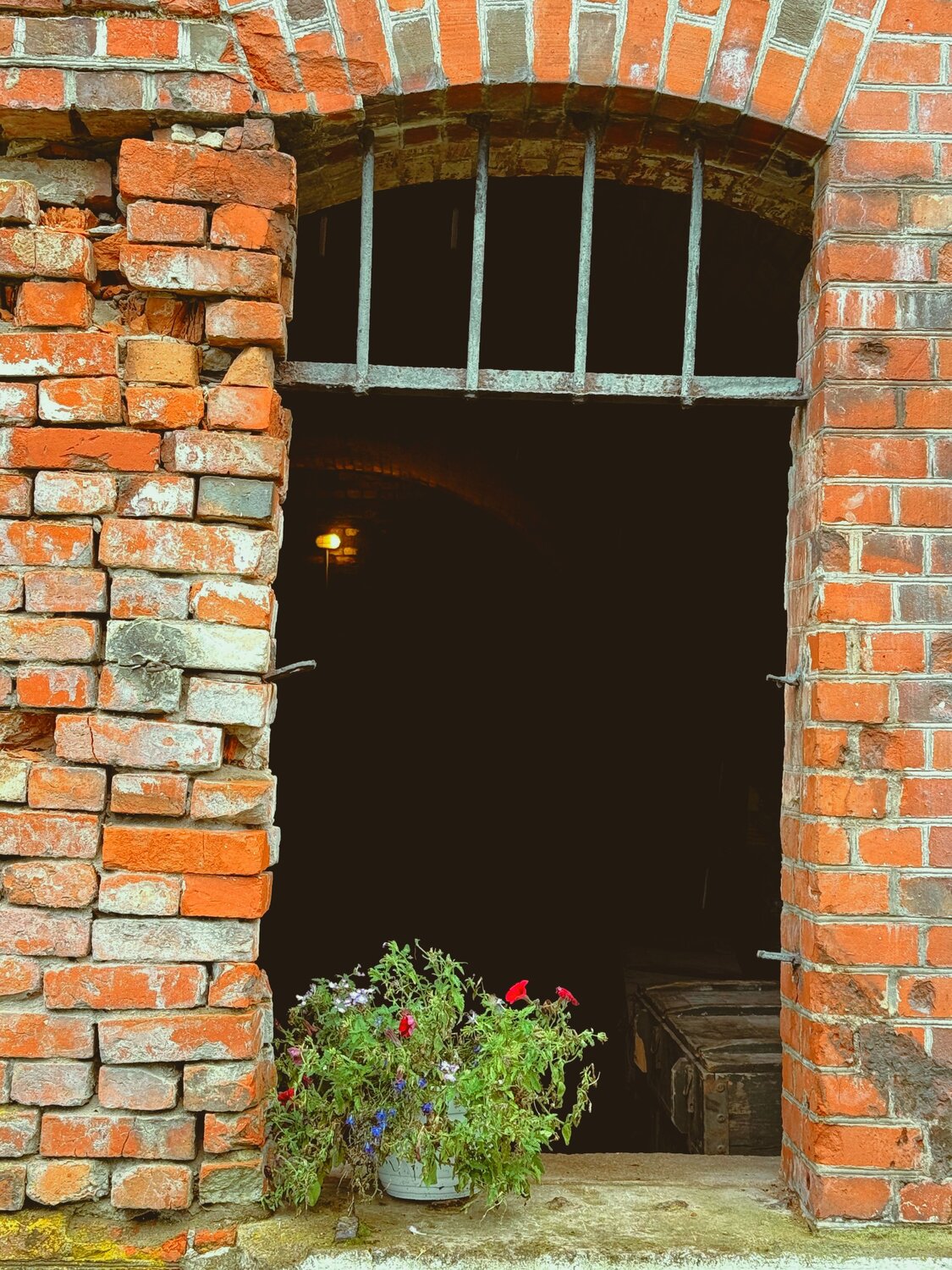 Photo #14066778
