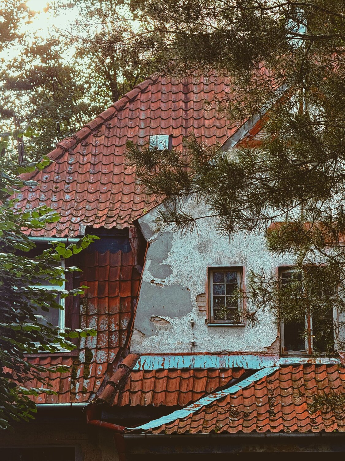 Photo #14066782
