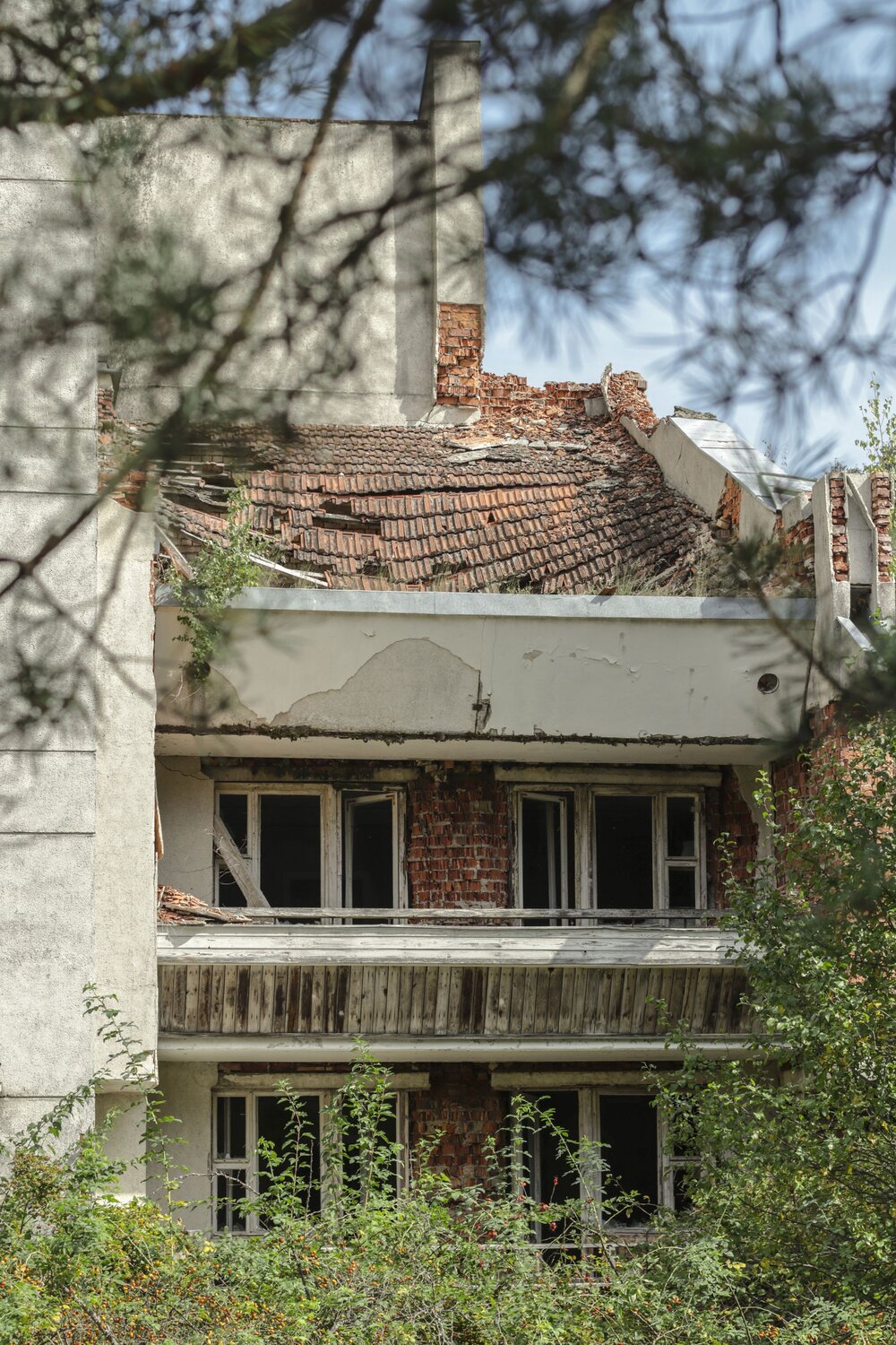 Photo #14066869