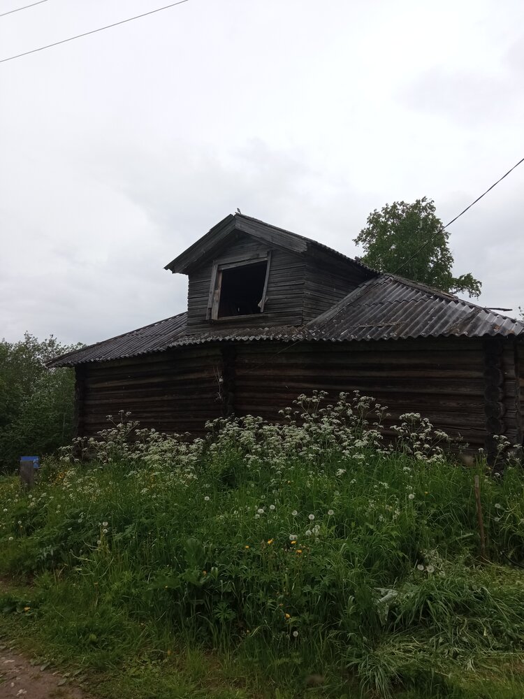 Photograph by Евгения Сапон
