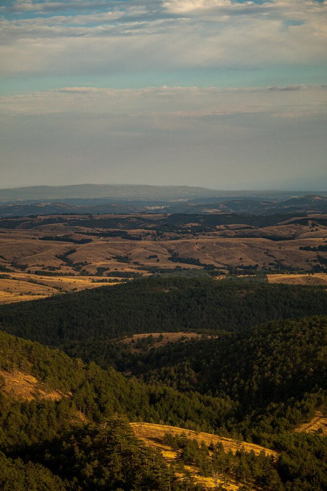 From the top