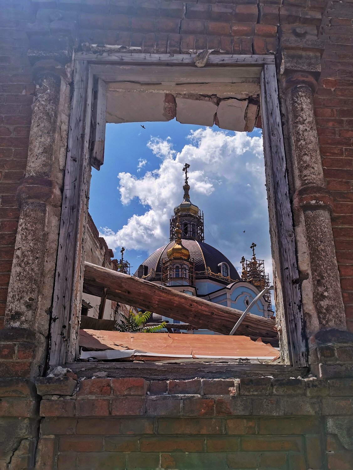 Фотография #14067032