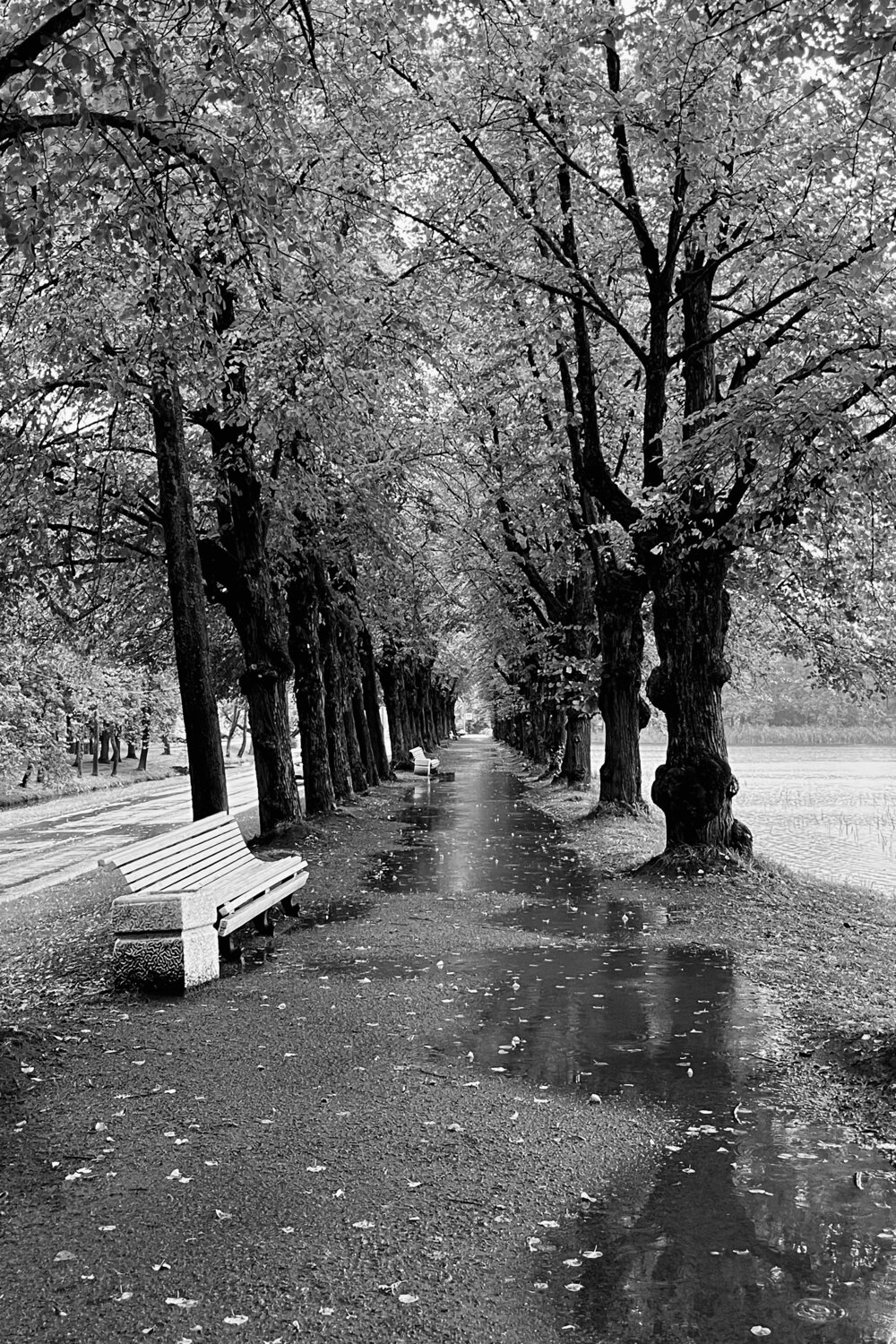 Photo #14067060
