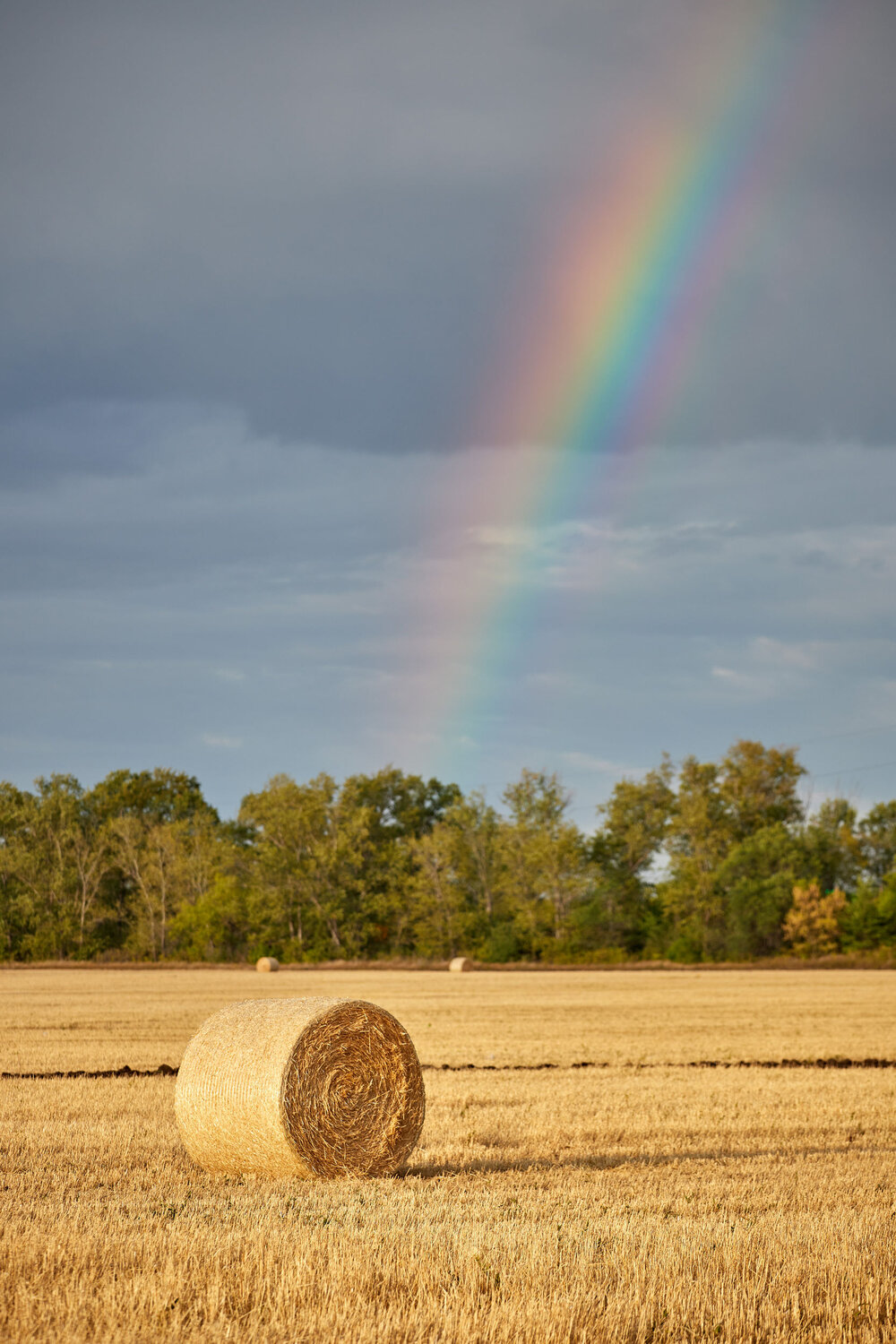 Photo #14067070