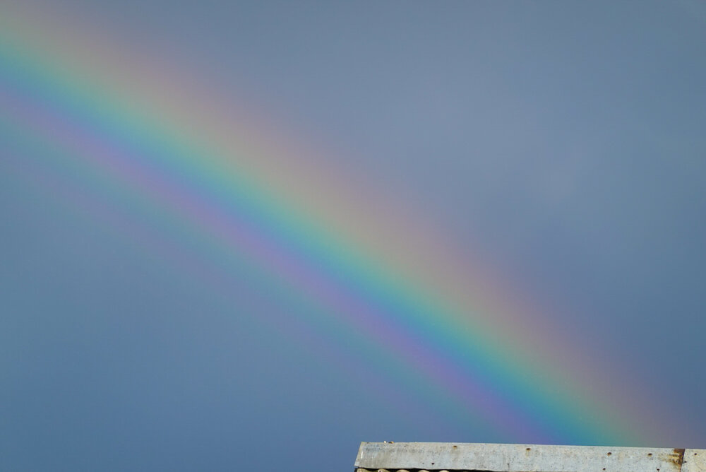 Photograph by Светлана Каравайская