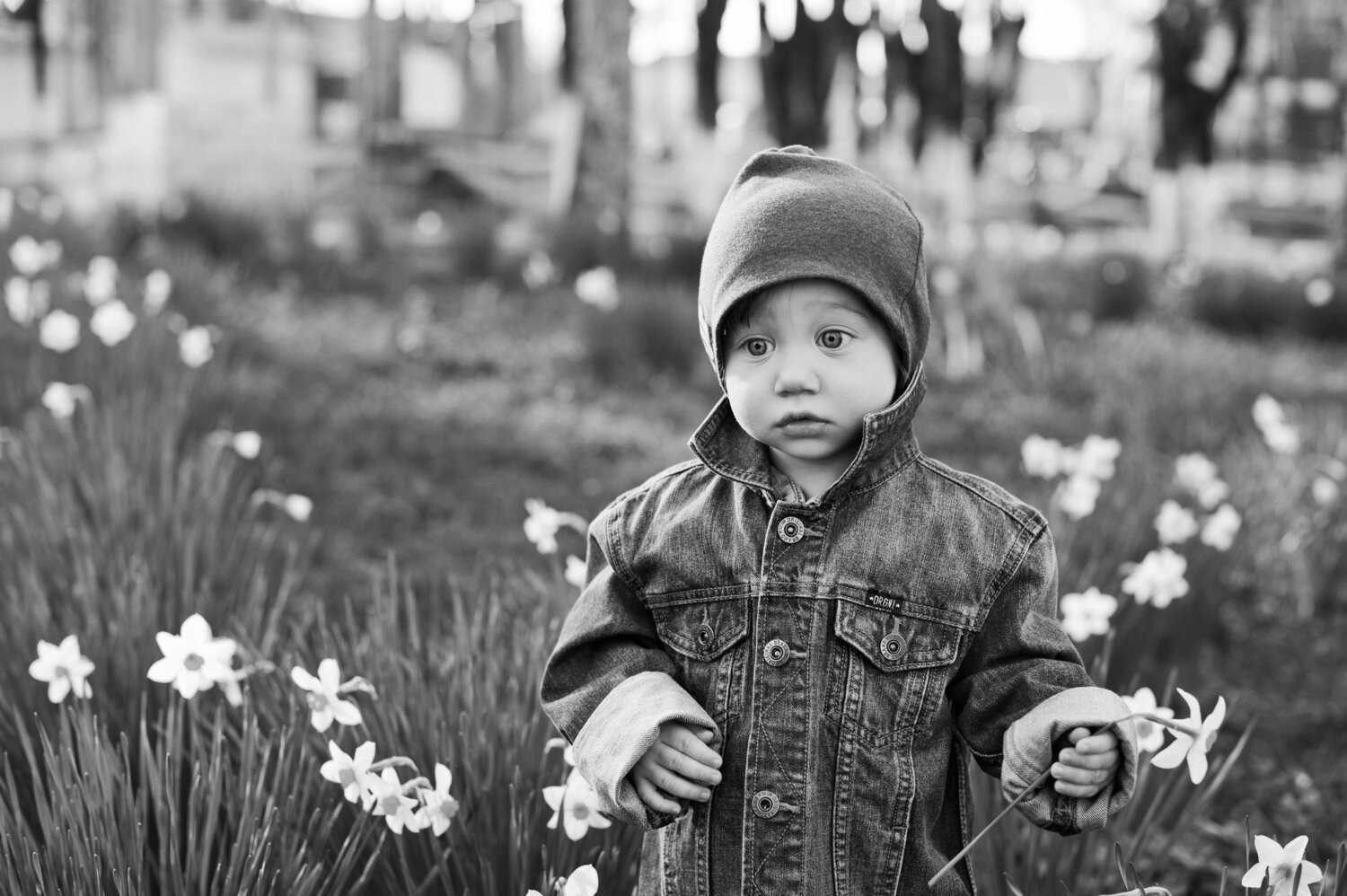 Photo #14067251