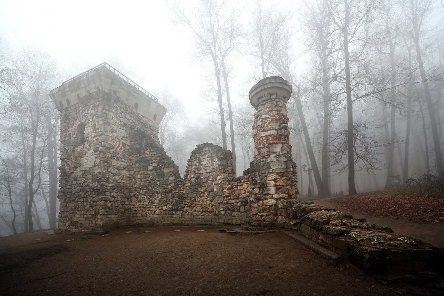 Photo #14067370
